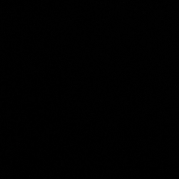 Meet your Posher, Aiden - Picture 1 of 1